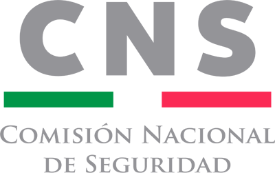 CNS_logo-1.png